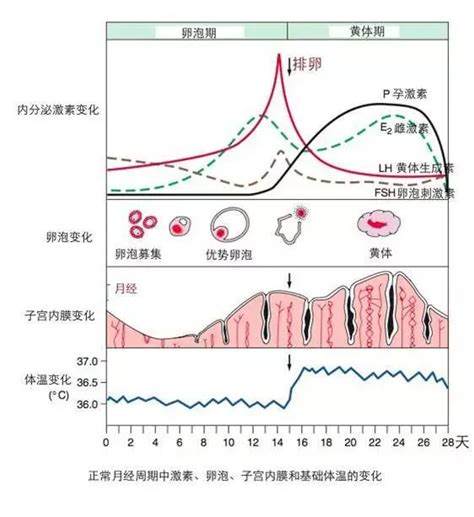 熟女的烦恼中国医疗