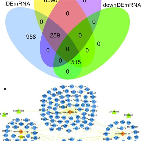 Venn Diagram Of Gene Interactions And CeRNA Network A In The 774