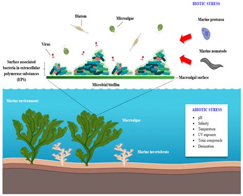 Microorganisms Free Full Text Combating Parasitic Nematode