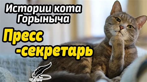 Пресс - секретарь - YouTube