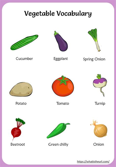 Vegetables Vocabulary Charts Your Home Teacher Name Of Vegetables Vegetables Vocabulary