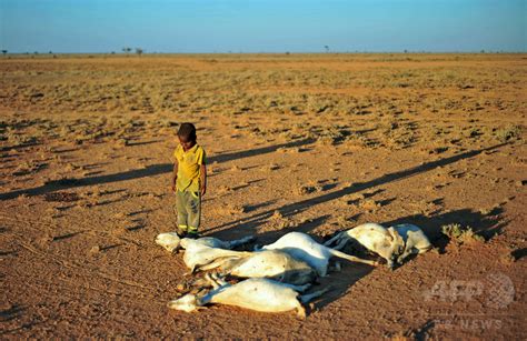 アフリカの角、1700万人が飢餓に直面 雨不足で深刻な干ばつ 写真2枚 国際ニュース：afpbb News