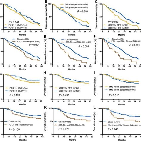 Impact Of Tmb Pd L1 Cd8 Til Expression On Dfs And Os A C Impact Of Download Scientific