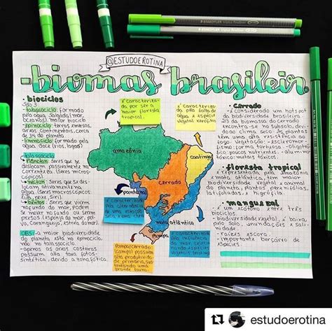 Pin De Rebeca Castro Em Aulas De Ci Ncias Biomas Como Estudar