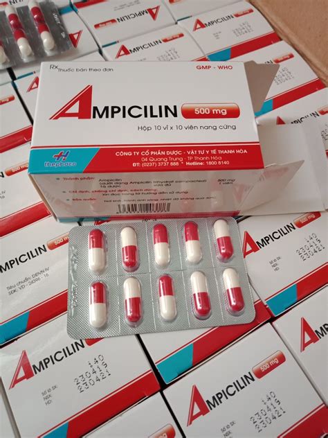 Ampicillin 500mg Th Quầy 119 Cty Dược Phẩm Hậu Phương