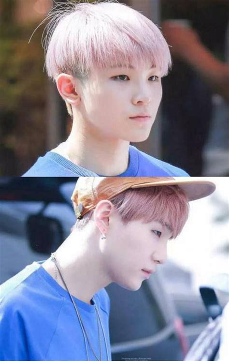 Twins Basically Btss Suga And Seventeens Woozi 2ne1 Btob Wonwoo