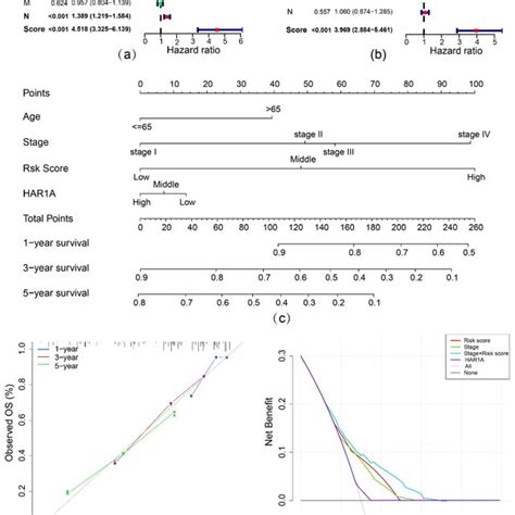 Evaluation Of The Prognostic Value Of Risk Score A Univariate