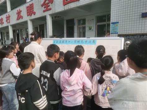 大金店镇第四小学 举行“书汉字之韵 写经典之美”硬笔书法大赛学校时讯dfedu