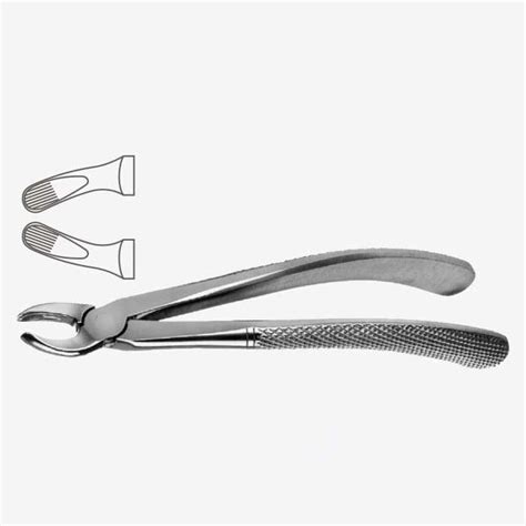 English Pattern Tooth Extraction Forceps Fig 158 Xelpov Surgical