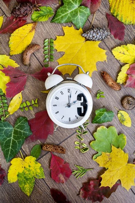 Fall Back Time Change.Two Clocks On Autumn Leaves Background Stock ...