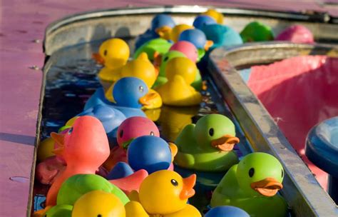 Pêche au Canard forain Pack Arbre de Noël