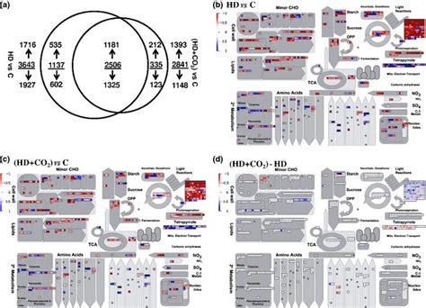 Genome Wide Transcriptional Responses Genome Wide Transcriptional