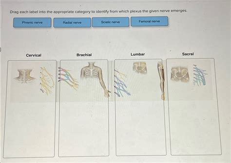 Solved Drag Each Label Into The Appropriate Category To