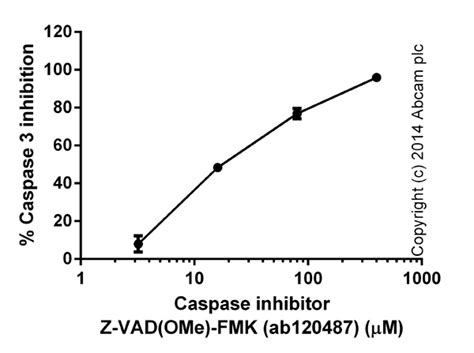 Calpain Activity Assay试剂盒 Abcam中文官网