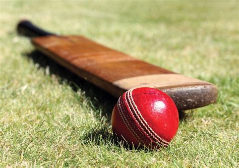 Cricket Bat Sports Britannica