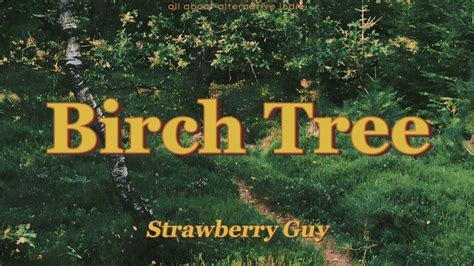 Strawberry Guy Birch Tree Lyrics YouTube