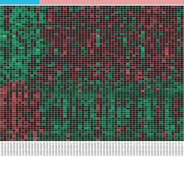 Identification Of DEGs From GSE117261 Dataset A Volcano Plot Of