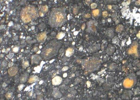 Rare Nwa 4818 Carbonaceous Chondrite