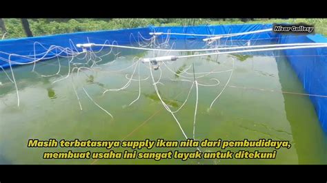 Budidaya Ikan Nila System Bioflok Gowa Sulawesi Selatan YouTube