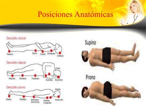 Posiciones Planos Regiones Y Cavidades Anatomicas Pptx