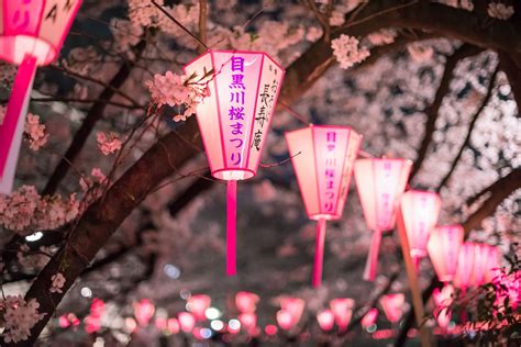 Pink Lanterns In Ohashi Tokyo