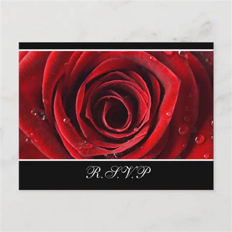 Beautiful Red Rose Wedding RSVP -Black Invitation Postcard | Zazzle