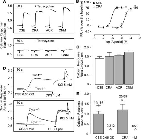 Figure 2 From Cigarette Smoke Induced Neurogenic Inflammation Is