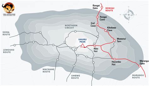 Rongai Route Climb Kilimanjaro From The North On The Border With Kenya