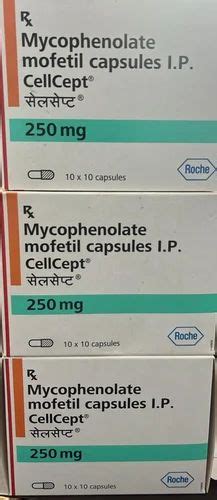 Mycophenolic Mofetil 250mg Tablets At Rs 2450box Mycophenolate