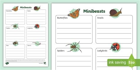 Minibeast Fact File Template Teacher Made Twinkl