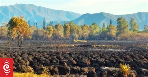 Bushfires Destroy 1000 Hectares In New Caledonia Rnz News