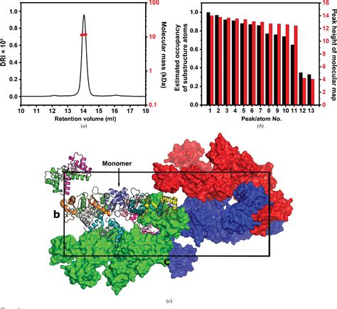 Figure From The Crystal Structure Of The Heme D Biosynthesis