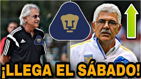 ¿si Viene🔥tuca Ferreti Quiere Ser Dt De Pumas LlegarÍa A Reforzar A Pumas Refuerzos Pumas