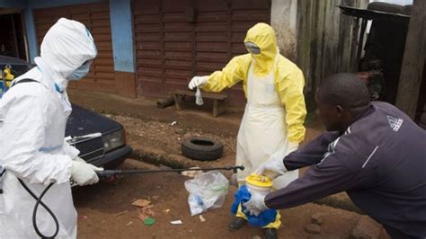 Ebola Crisis Outbreak Death Toll Rises To 4 447 Says Who Bbc News