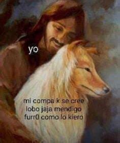 Ideas De Memes De Lobos Por Que Son Lo M S En Memes Lobos