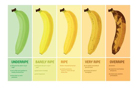 Banana Ripeness Compositions Set Vector Art At Vecteezy