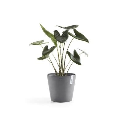 Ecopots Online Store
