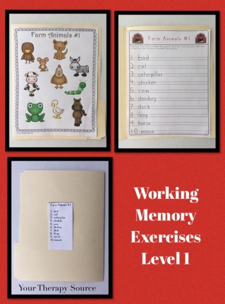 Working Memory Exercises Your Therapy Source