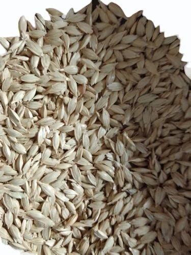 Natural Khapli Wheat Seed Packaging Type PP Bag Packaging Size 20