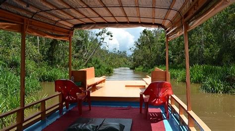 Tanjung Puting Tour Orangutan jungle klotok boat cruise Camp Leakey