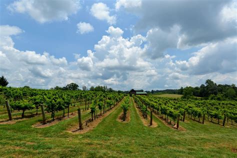 Celebrate the Holiday Season with Virginia Wineries - Virginia Wineries ...