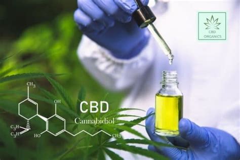 ¿qué Es El Cbd Y Para Qué Sirve Cbdorganics