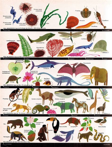 Cuadro De Las Eras Geologicas Para Ni Os Actividad Del Ni O