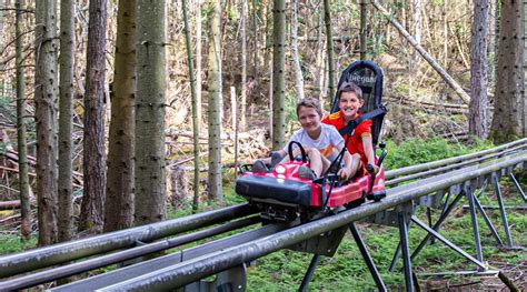 Fforest Coaster Alpine Coaster Zip World Zip World