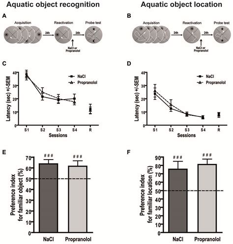 Frontiers Effects of Propranolol a β noradrenergic Antagonist on