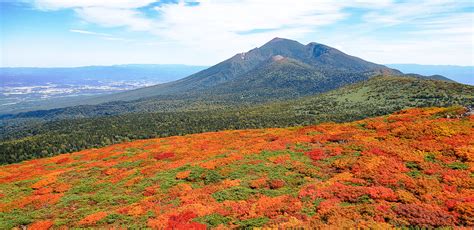 【岩手縣旅遊景點】八幡平市有什麼好玩？秘湯、火山、健行、紅葉、滑雪應有盡有 Bringyou