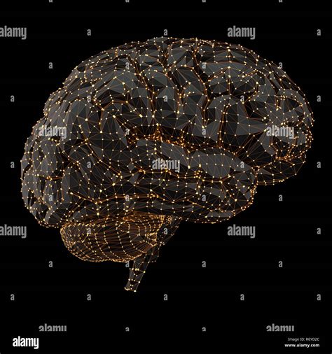 Human Brain Power Connections Stock Photo Alamy