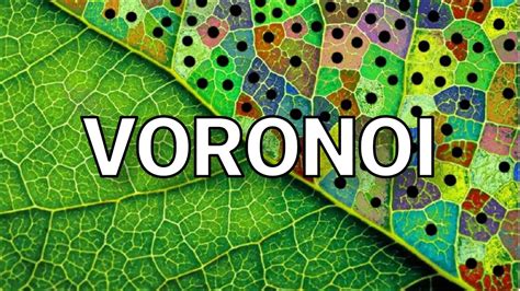 I Cracked The Code Behind Nature Voronoi Diagram Explanation Youtube