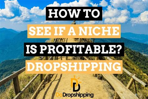 Cómo saber si un nicho de dropshipping podría ser rentable en 2022