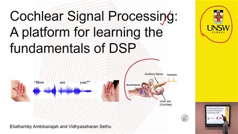 Cochlear Signal Processing A Platform For Learning The Fundamentals Of